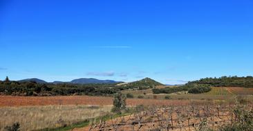 landscape with sky and dry field