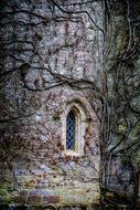 Entwine Castle Gloomy Fairy