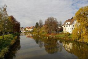 Autumn Danube Nature