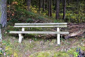 Bank Rest Forest Resting