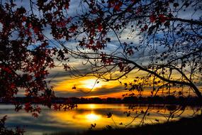 Autumn Leaves Sunset