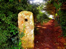 Menhir Brittany Trail
