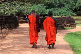 Monks Buddhist People in park