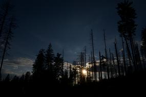 Sunset Forest Sky