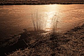 Water Course Frozen Ice