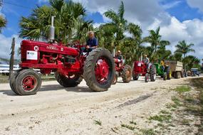 tractor red palm tree view