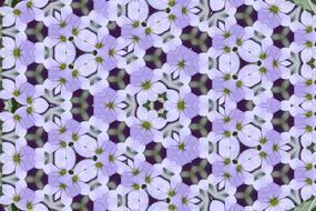 flower floral petal leaf plant