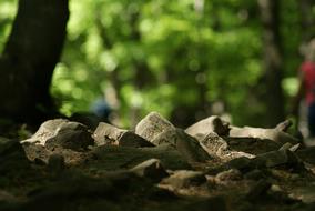 stones in the park people