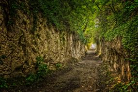 Away Hanson Kaiserstuhl