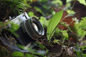 Yashica The Camera Nature
