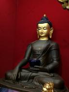 black-suited buddha