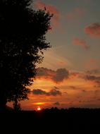 Sunset Tree The Sun