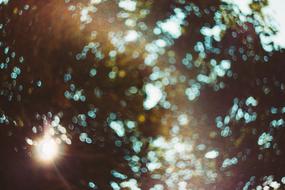 Nature Abstract Background