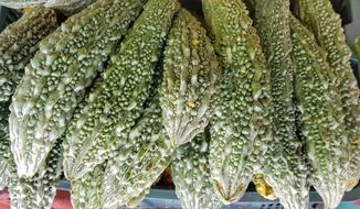 Bitter Gourd Melon