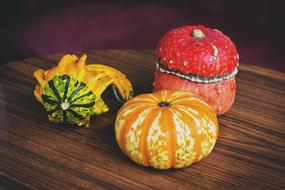 Nature Halloween Olsztyn