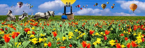 Nature Landscape Spring