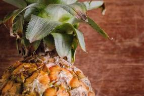 fresh pineapple against the wall