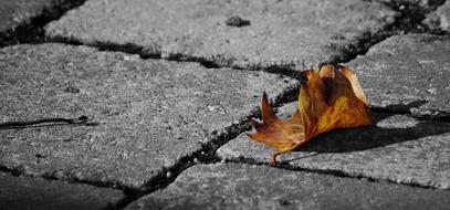 Nature Asphalt Stone