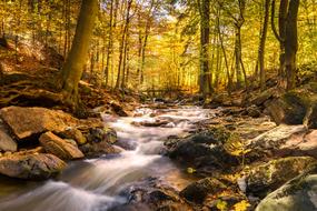 Fall Foliage Ilse Long Exposure