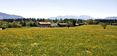 Nature Landscape Panorama
