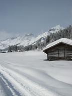 Snow Winter Mountain