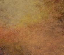 Texture Speckled Ochre