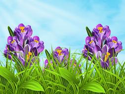 nature plant flowers sky spring