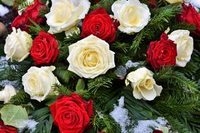 Roses Rose Arrangement Bloom