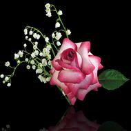 not a real flower