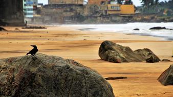 Monolithic Part Of The Waters Sea