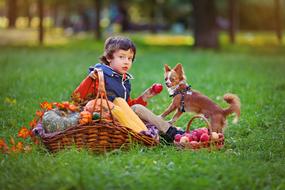 child Boy with red Dog on lawn