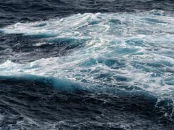 Sea Waters Wave