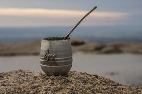 a mug with water and dirt