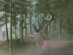 Hirsch Wolf Forest