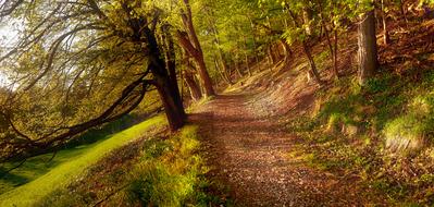 Away Autumn Golden