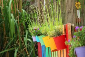 colorful pots in the garden