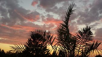 Morning Sunrise Morgenstimmung
