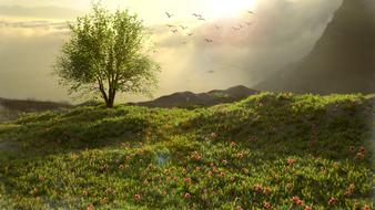 Green Nature Mountain