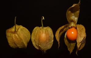 Tasty healthy exotic fruit