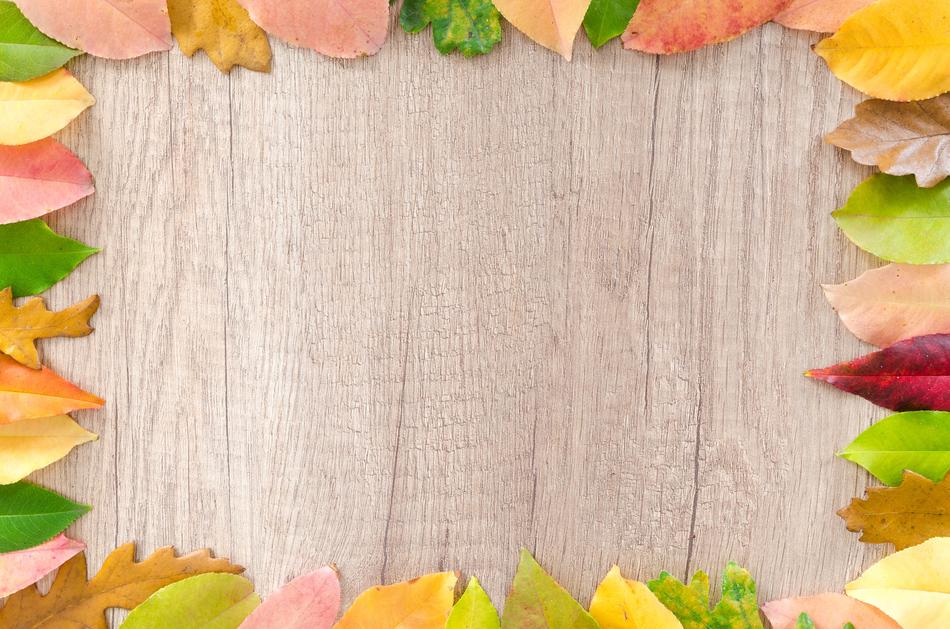 Autumn Orange Nature