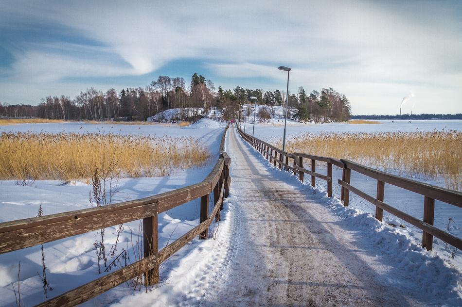 snowy field path