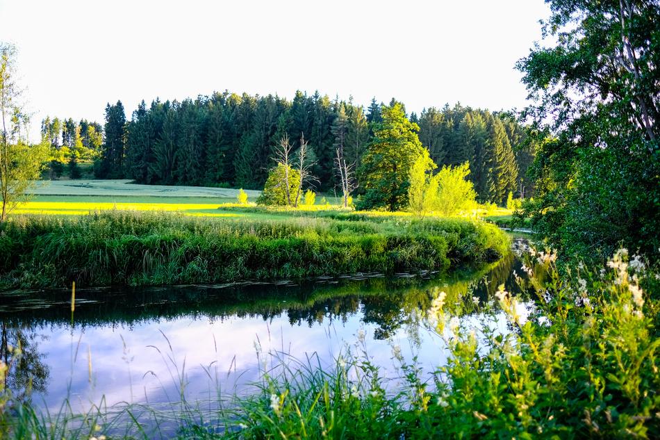 River Green Landscape