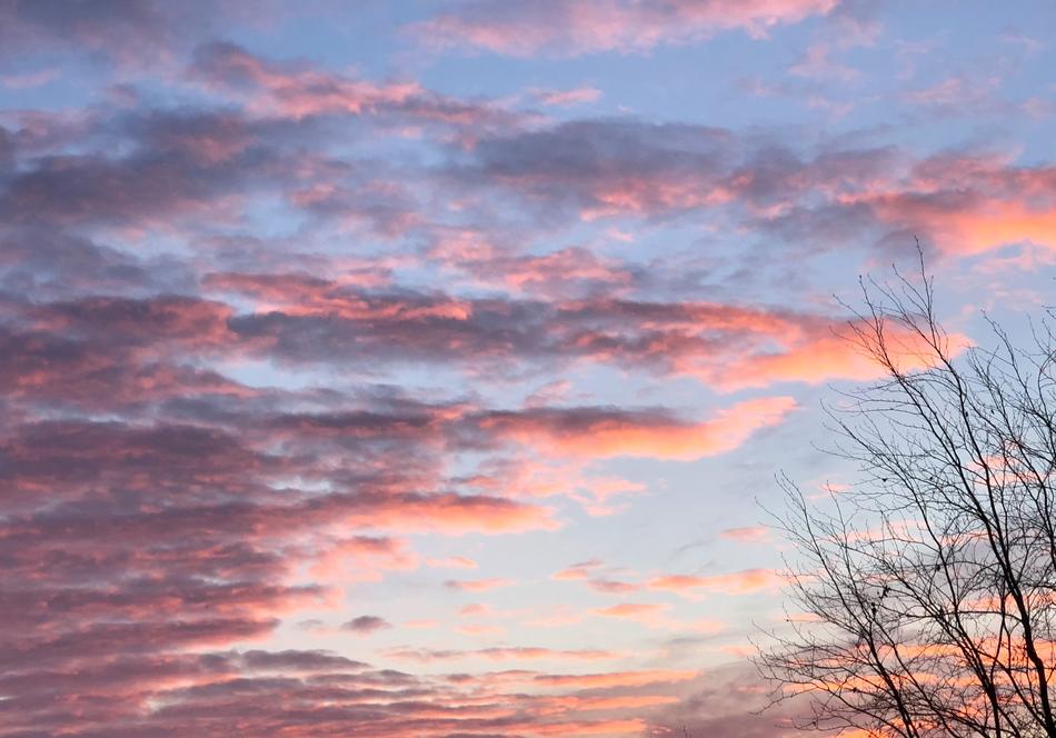 Sunset Nature Dawn