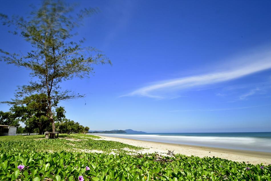 Nature Landscape Summer