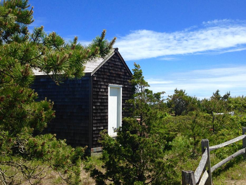 Shed Landscape