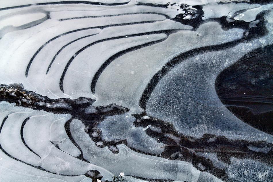 Cold Winter Ice