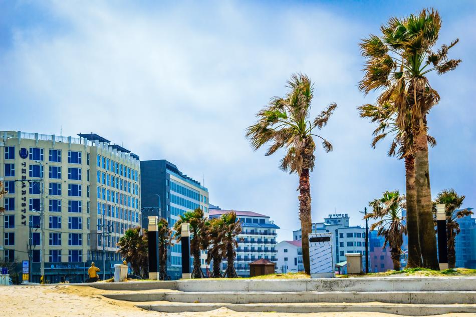 Square Jeju Southkorea