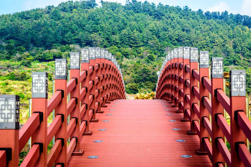 Bridge Trees Nature