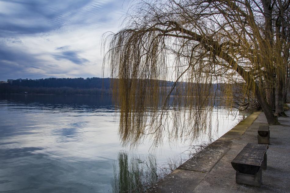 Mainau Island Winter Cold