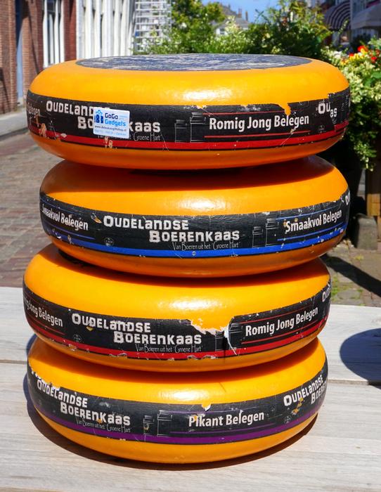 great tasty cheeses